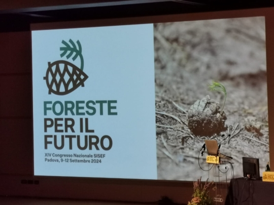 Fondazione AlberItalia al XIV Congresso Nazionale SISEF: foreste per il futuro