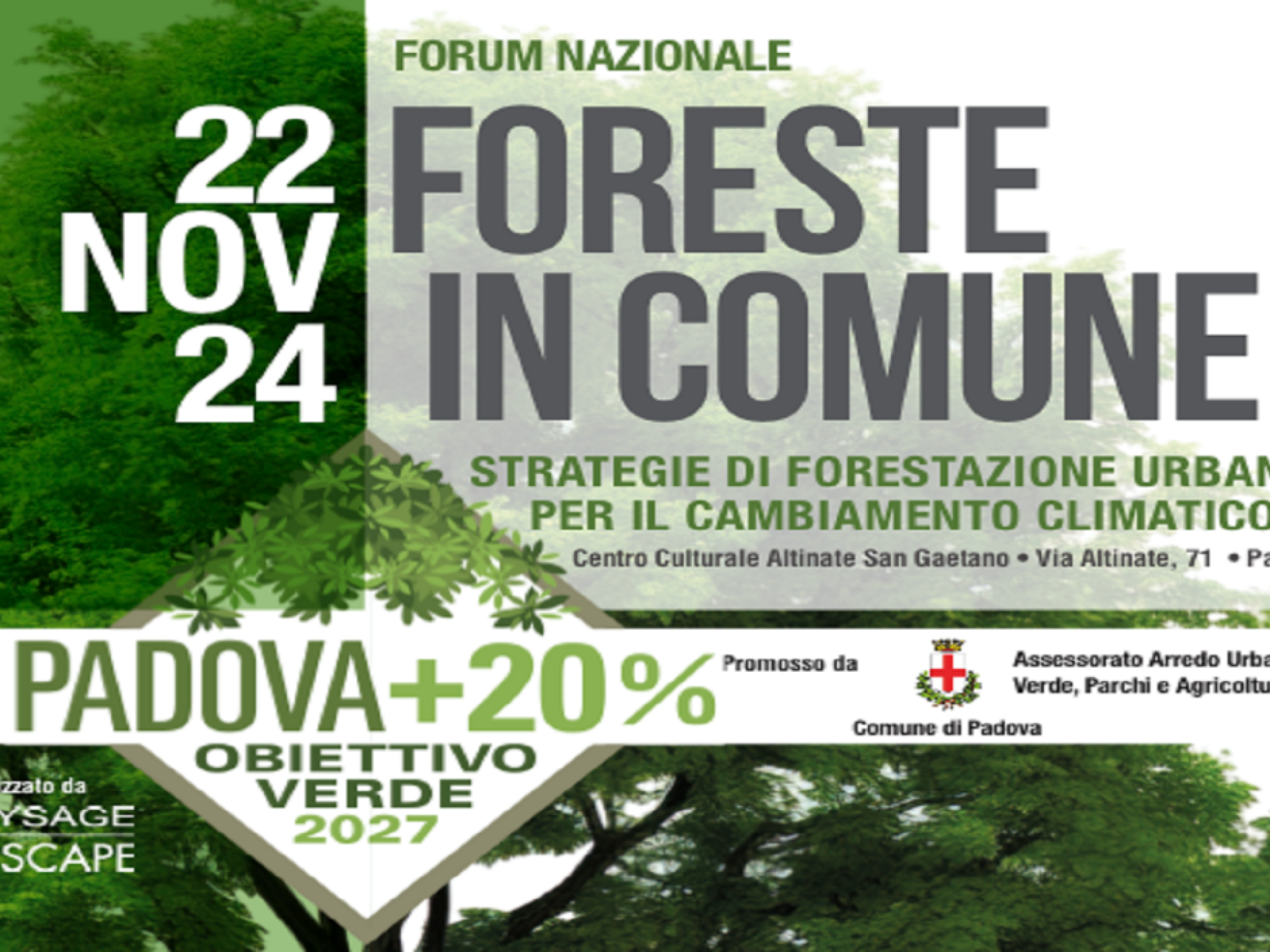 Foreste in comune: strategie di forestazione urbana per il cambiamento climatico