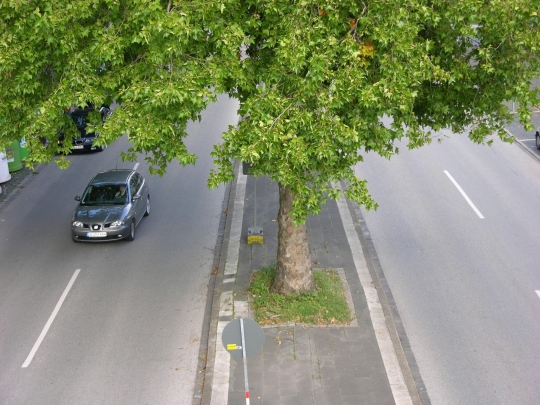 Verde urbano, la Carta di Spoleto: una guida per la pianificazione urbana sostenibile