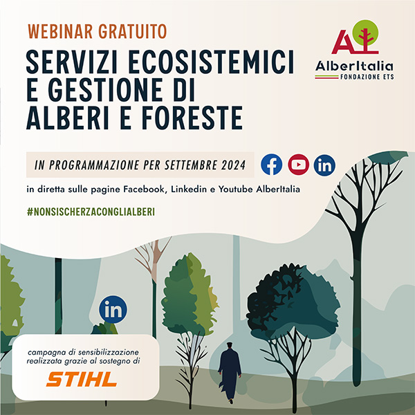 webinar Servizi ecosistemici gestione alberi foresta