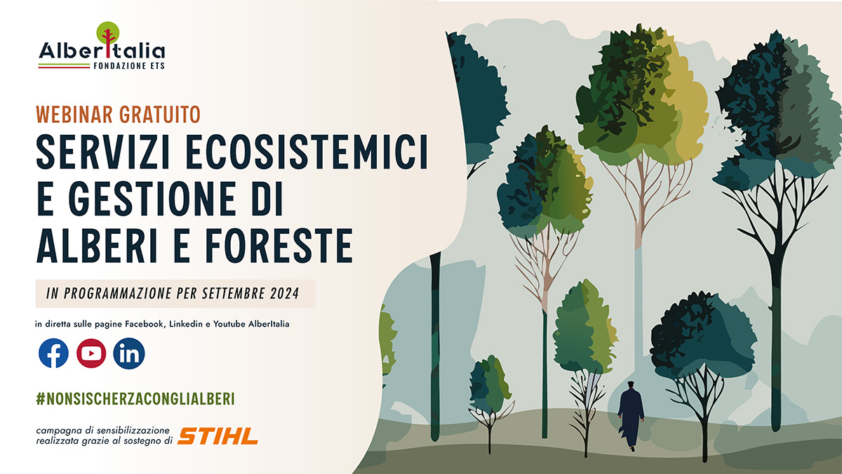 webinar Servizi ecosistemici gestione alberi foresta